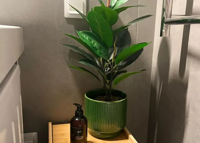 Riverside Escape Lucavsala, Close To Center 公寓 *